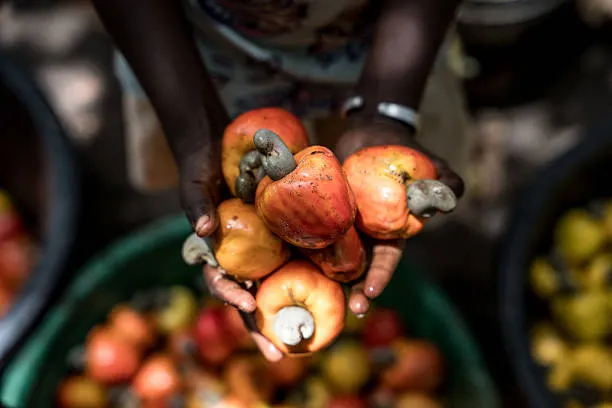 Agriculture & Fresh Produce